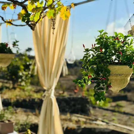 Lägenhet Loft Laureles *