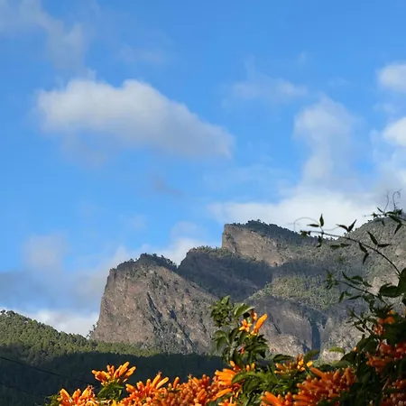 דירה Loft Laureles